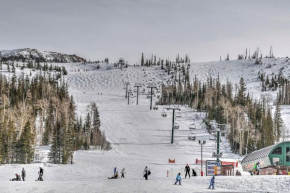 Mountainside Paradise Ski-InandSki-Out Resort Condo